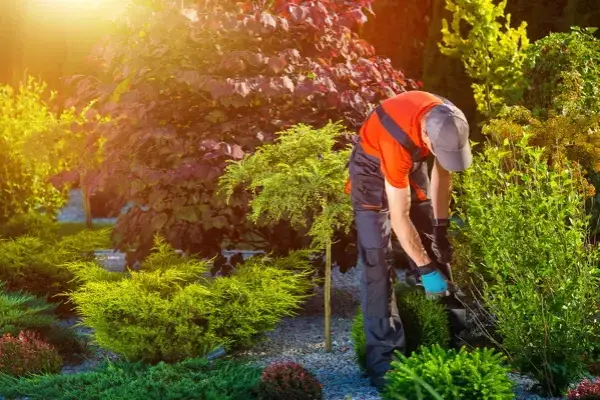 Landscaping Contractor in Poulsbo, WA