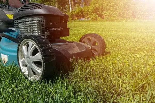 Lawn Mowing Lawn Mowing