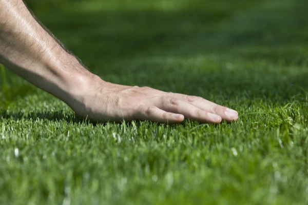 Zeus Landscape Services' Other Services Zeus Landscape Services' Other Services