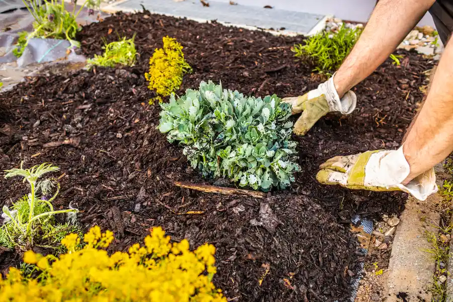 Affordable Mulching Poulsbo, WA