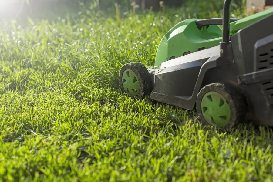 Benefits Of Hiring Professionals For Lawn Mowing Services in Poulsbo, WA
