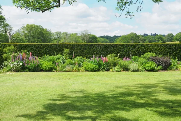 Reliable Landscape Installation Poulsbo, WA Reliable Landscape Installation Poulsbo, WA