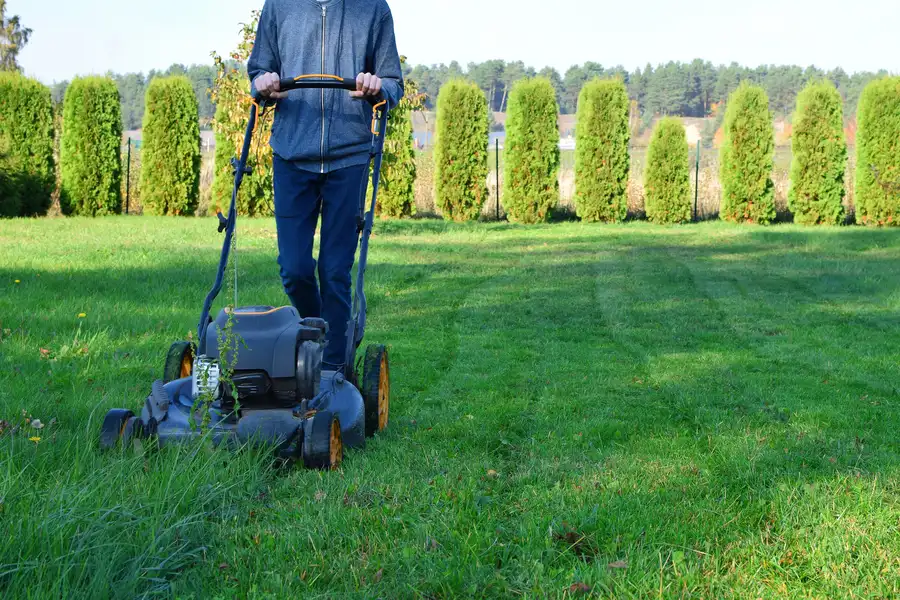 The Impact Of Grass Height On Lawn Health And Aesthetics Poulsbo, WA