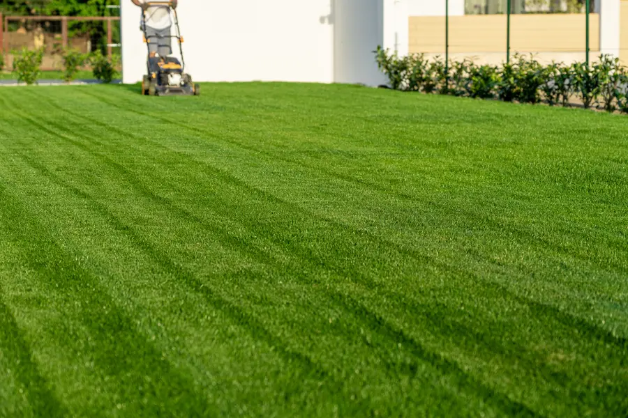 The Impact Of Grass Height On Lawn Health And Aesthetics in Poulsbo, WA