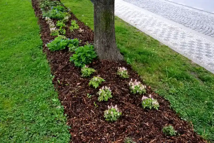 Top-rated Mulching Poulsbo, WA